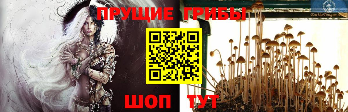 Лянтор  Галлюциногенные грибы ЛСД  Вход с VPN 